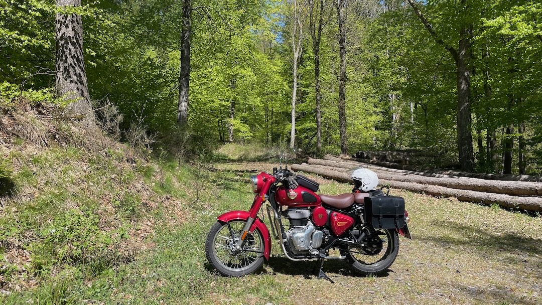 Moped im Wald
