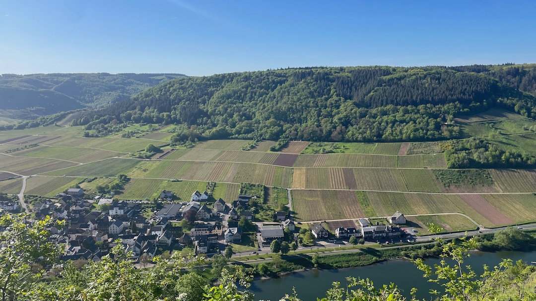 Mosel von oben