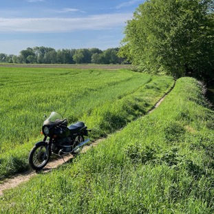 an der Hase in Lage.jpeg