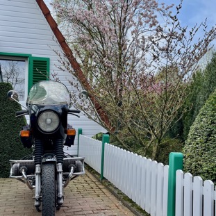 Vorgarten mit BMW.jpeg