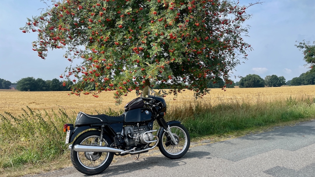 Sommer 