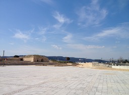 IMG_0261