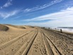 Spuren am Strand.jpg