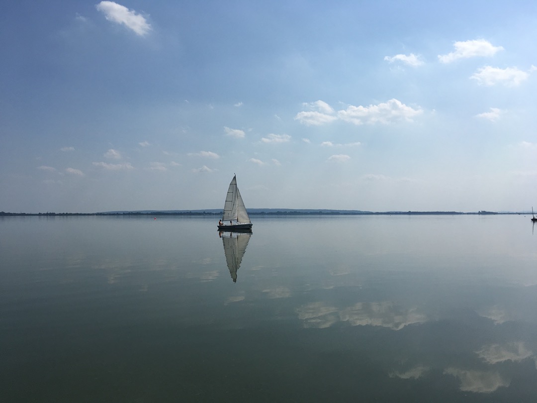 Segler am Dümmer.jpg