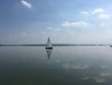 Segler am Dümmer.jpg