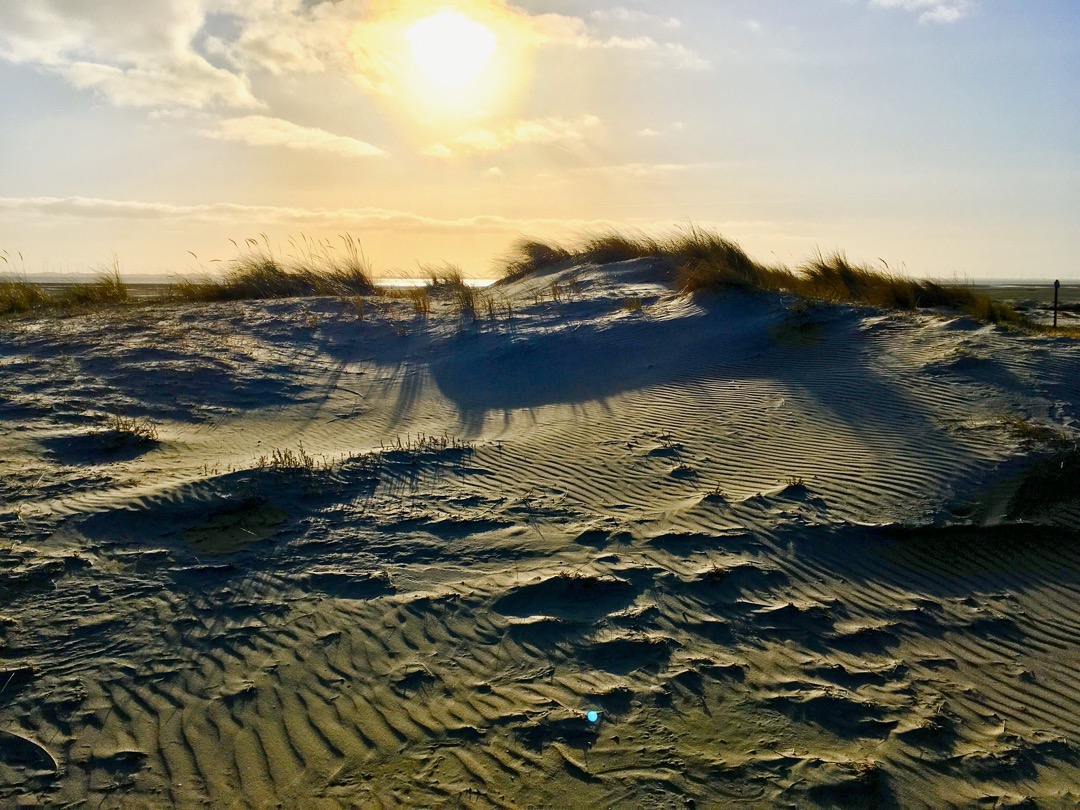 Dünen im Winter.jpeg