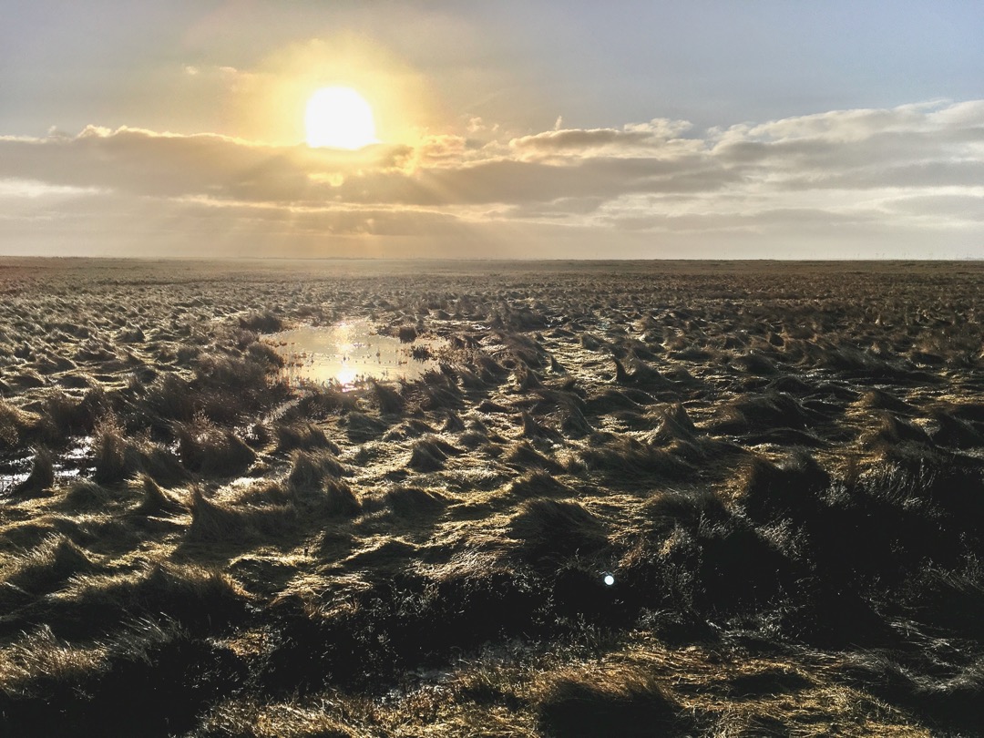 Dünen im Winter.jpeg