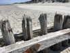 Norderney.jpeg