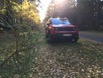 Jeep im Pilzwald.jpeg