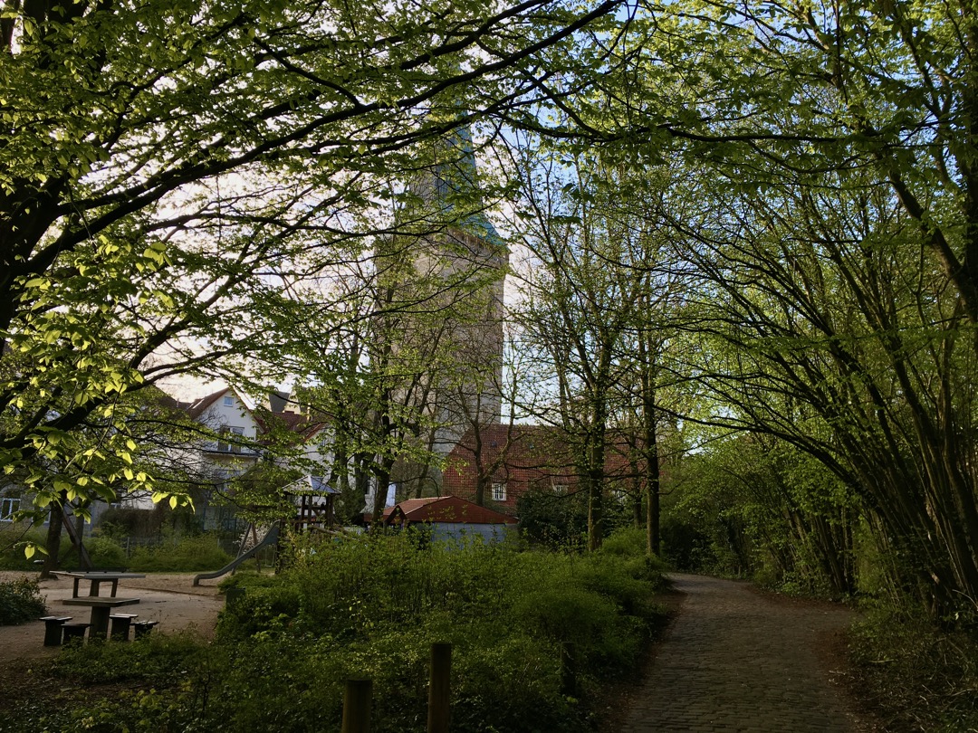 Katharinenfrühling.jpeg