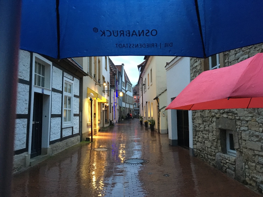Juniregen.jpeg