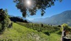 Dorf Tirol.jpeg