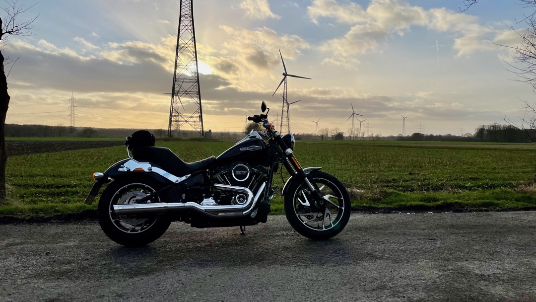 HarleyJanuar.jpeg