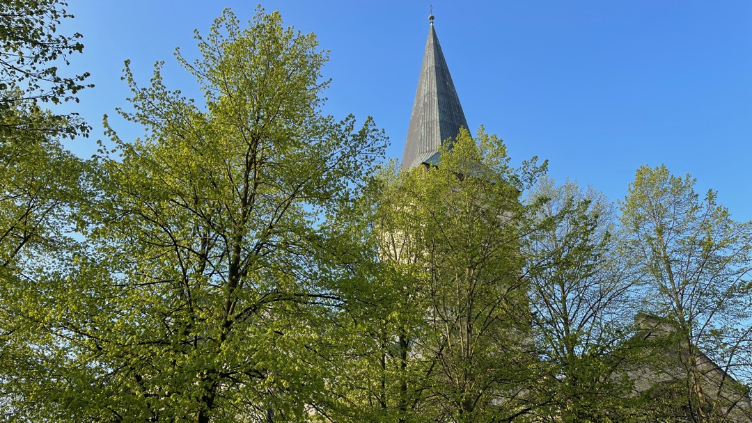 Katharinenfrühling.png