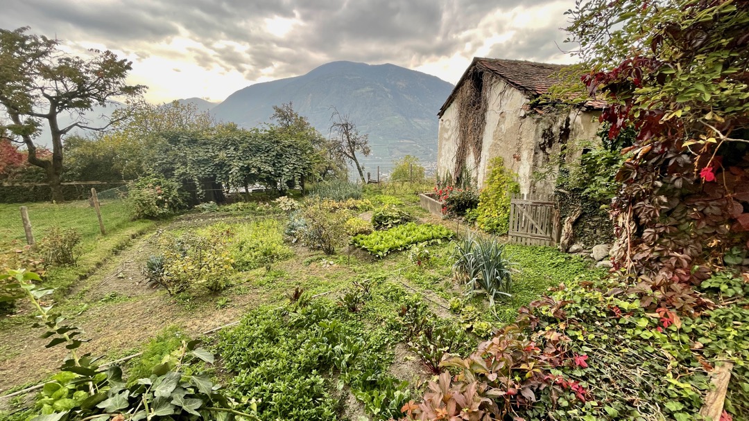 Garten Dorf tirol.jpeg