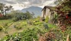 Garten Dorf tirol.jpeg