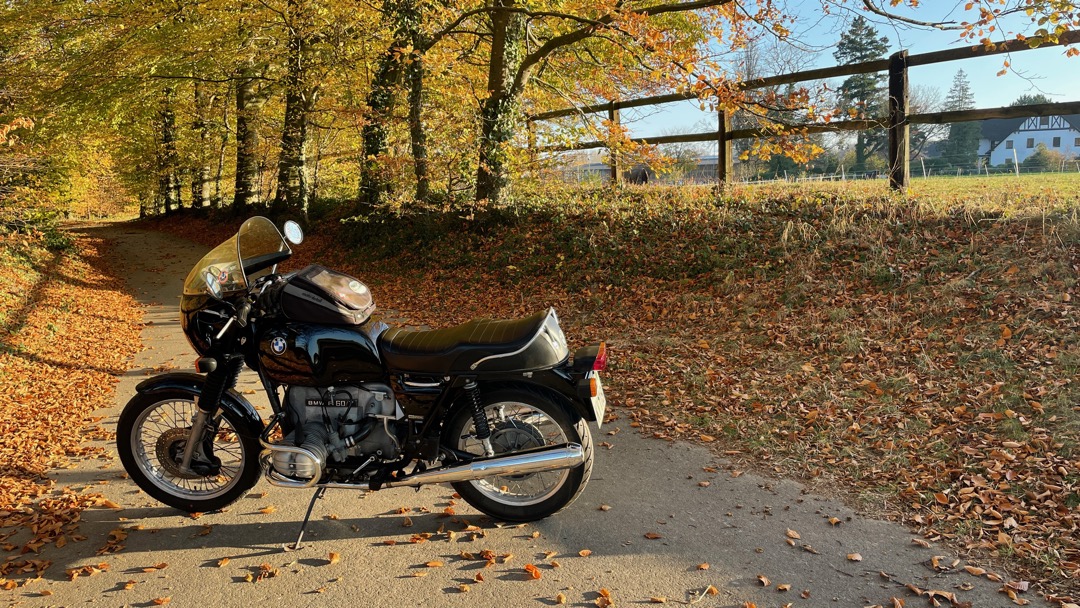 HerbstWaldhof 2350.jpeg