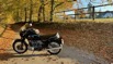 HerbstWaldhof 2350.jpeg