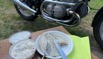 FischPicknick4400.jpeg
