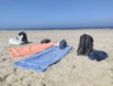 IMG_20230822_130752.jpeg