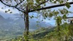 Schenna Nebelpanorama.jpeg