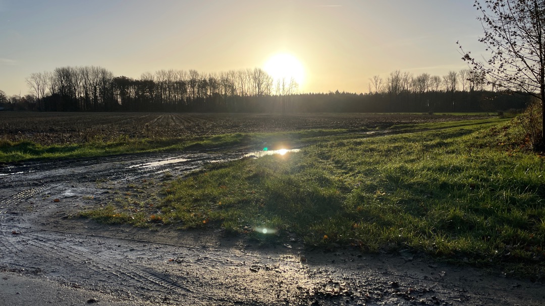 Sonnenstunde mit Matsch.jpeg