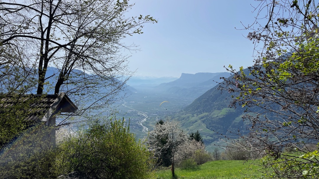 Geburtstagsfeier am Balkon.jpeg