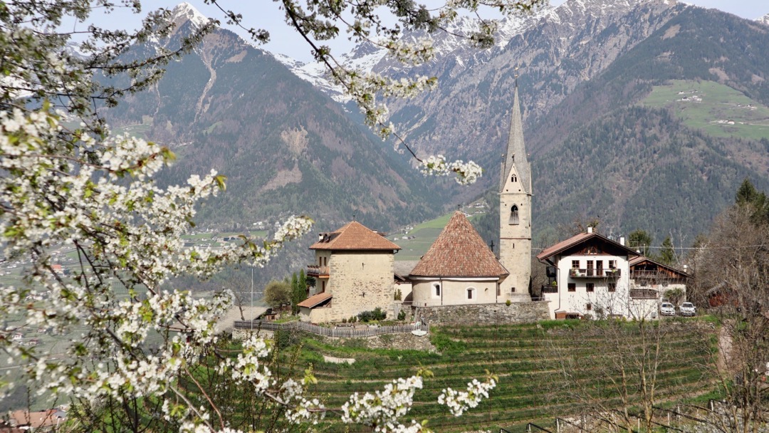 St.Georgenfrühling.jpeg