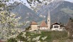 St.Georgenfrühling.jpeg