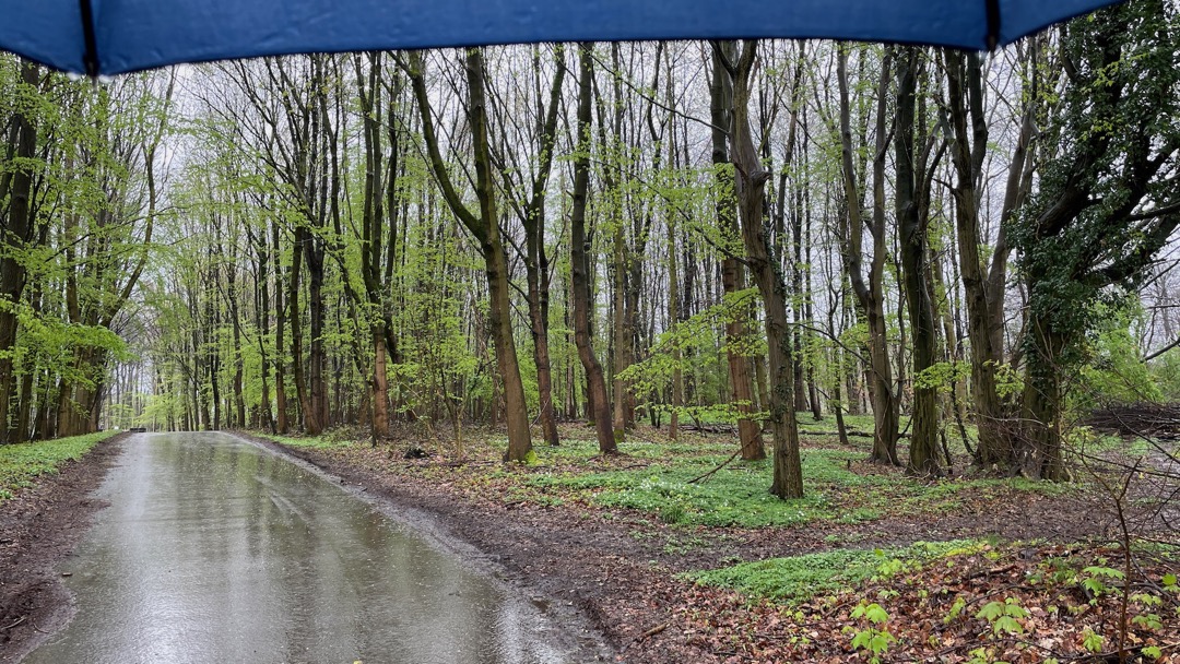Regen und Sommerreifen.jpeg
