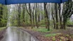Regen und Sommerreifen.jpeg