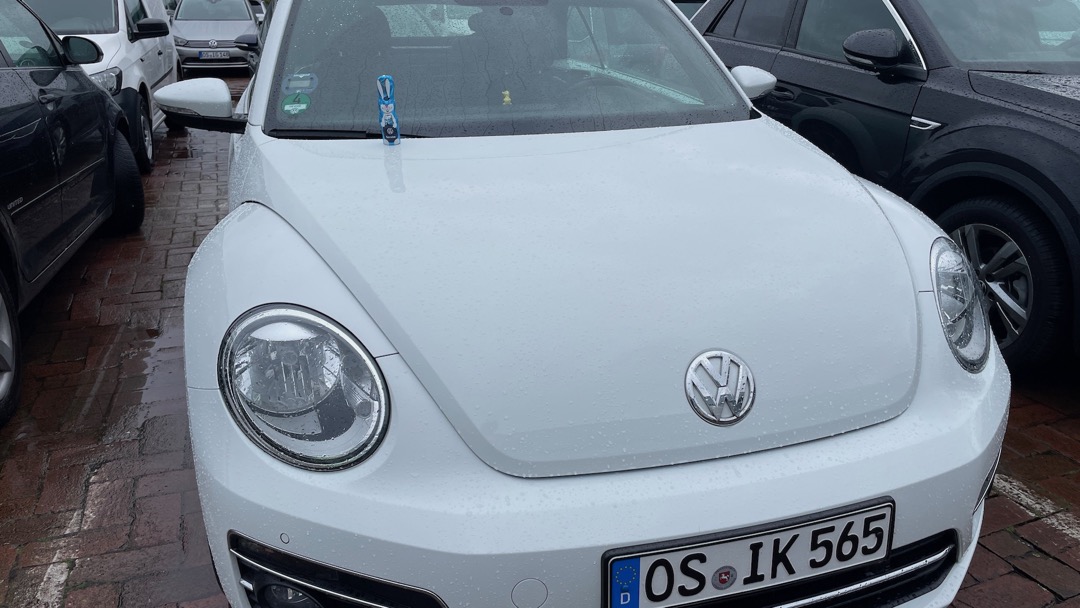 Sommerreifenhase im Regen.jpeg