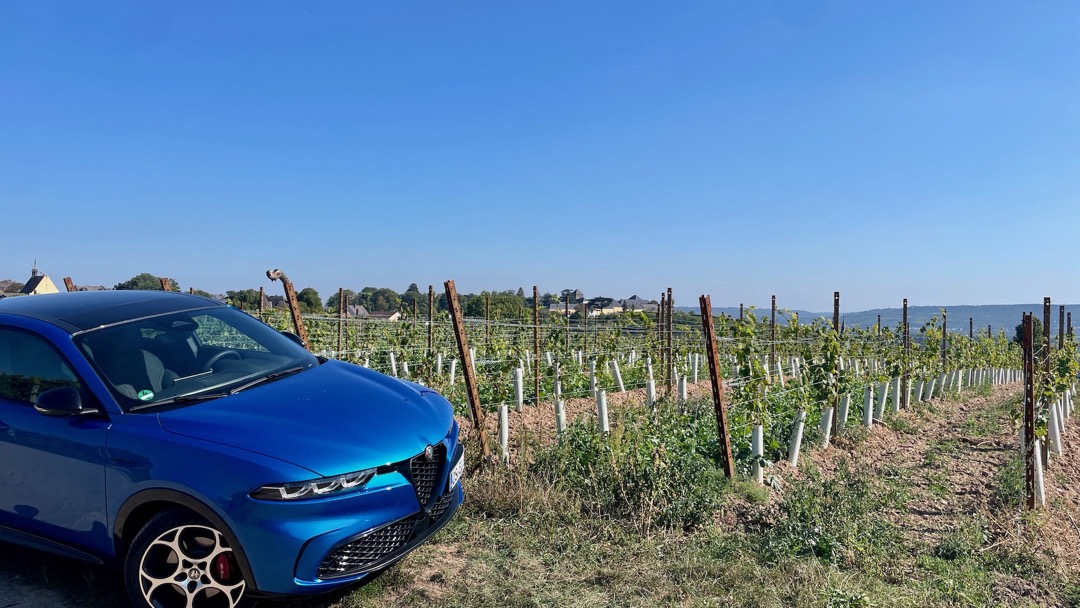 das Model Alfa.jpeg
