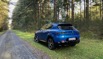 Alfa im Pilzwald.jpeg