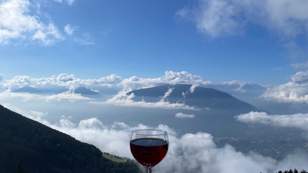 Greiterer Wein.jpeg