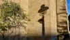 Januarsonne an Mauer.jpeg