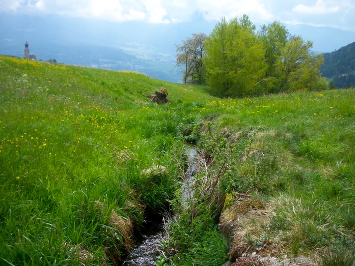 Wiesenbach vor Maria Saal