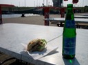 Mahlzeit am Meer