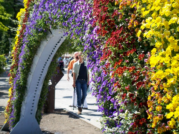 Blumenregenbogen mit Imke