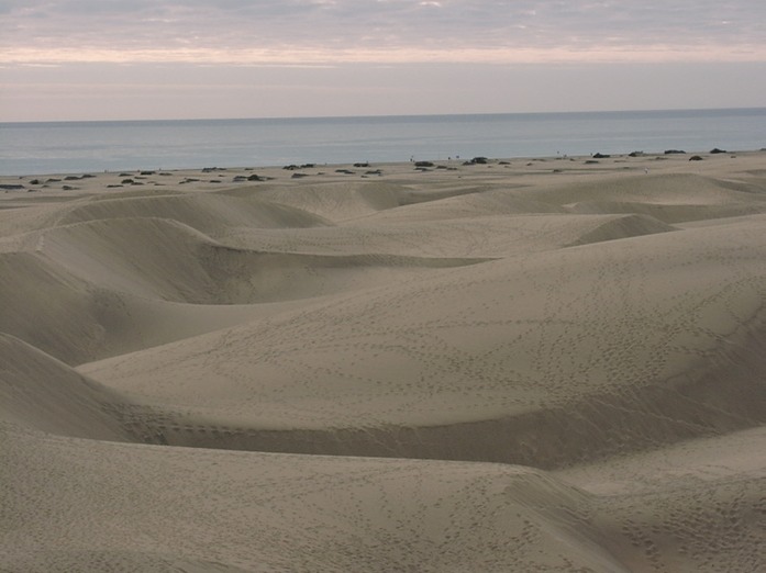 Spuren nach Maspalomas