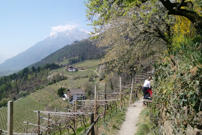 Rast ber Algund