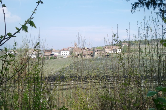 Montiggl
