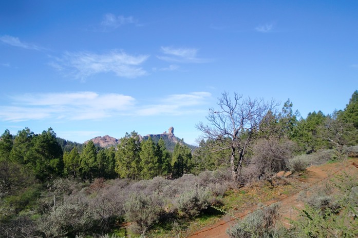 rund um den Roque Nublo