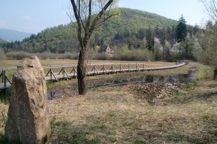 gr. Montiggler See