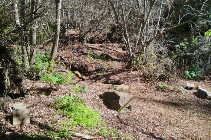 lauschiger Platz in der Natur