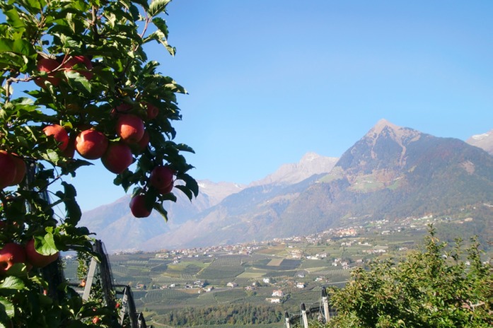 pfel vor Mutspitze