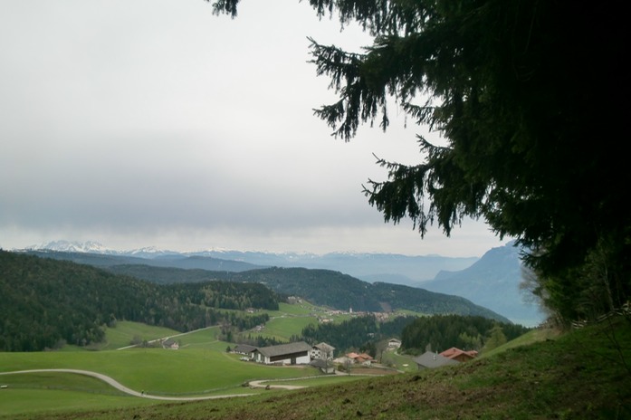 Dolomitenblick