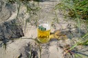 mein Bier vor Strandhafer