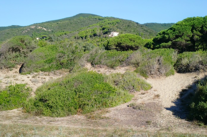 Dnenlandschaft hinter dem Handtuch