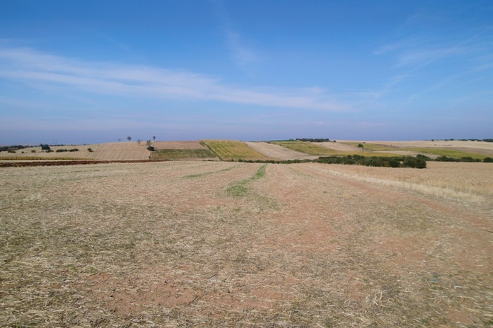 weites Land